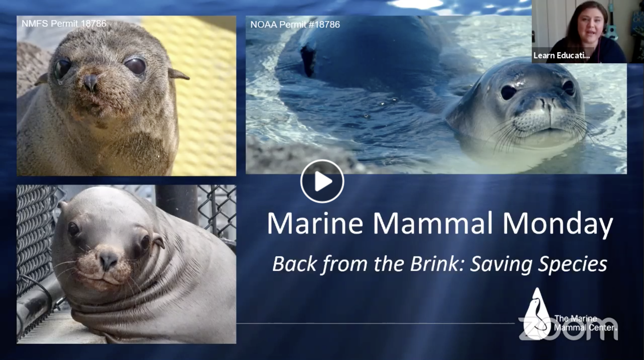 The Marine Mammal Center | Marine Mammal Monday: Saving Species